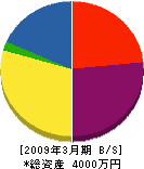 田中工務店 貸借対照表 2009年3月期