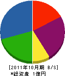 信濃広告 貸借対照表 2011年10月期
