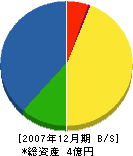 田中石材工業 貸借対照表 2007年12月期