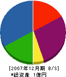 東山産業 貸借対照表 2007年12月期