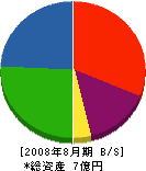 石村組 貸借対照表 2008年8月期