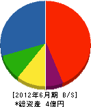 木田組 貸借対照表 2012年6月期