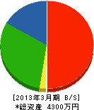 西沢電機 貸借対照表 2013年3月期