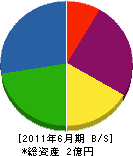 泉宏産業 貸借対照表 2011年6月期