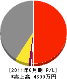 黒木電業 損益計算書 2011年6月期