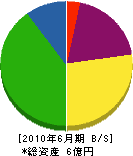 薄井土木 貸借対照表 2010年6月期