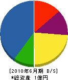 北日本道路企画 貸借対照表 2010年6月期