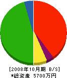 後藤建設 貸借対照表 2008年10月期