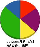 斉藤建設 貸借対照表 2012年5月期