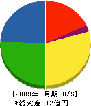 田中建設 貸借対照表 2009年9月期