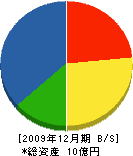 川延工務店 貸借対照表 2009年12月期