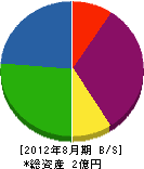 神田電機商会 貸借対照表 2012年8月期