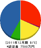 桜井工務店 貸借対照表 2011年12月期