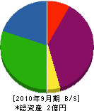 湘南ロード 貸借対照表 2010年9月期