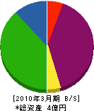 尼崎都市美化推進（企） 貸借対照表 2010年3月期