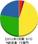 中田組 貸借対照表 2012年3月期