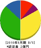 千葉工務店 貸借対照表 2010年8月期