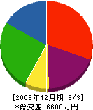 皆川興業 貸借対照表 2008年12月期