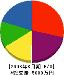 斎藤建設 貸借対照表 2008年6月期