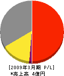 堂脇工業所 損益計算書 2009年3月期