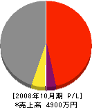 パワープラント 損益計算書 2008年10月期