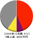 張江建設 損益計算書 2009年12月期