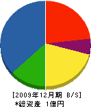 寿造園 貸借対照表 2009年12月期