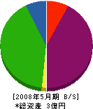 昭信機工 貸借対照表 2008年5月期