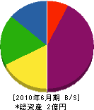 大川組 貸借対照表 2010年6月期