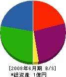井関工務店 貸借対照表 2008年6月期