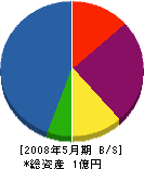 竹澤組 貸借対照表 2008年5月期