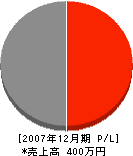 三栄電子 損益計算書 2007年12月期