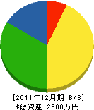 竹上電気水道商会 貸借対照表 2011年12月期