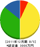 岩田設備工事店 貸借対照表 2011年12月期