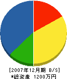 野沢設備 貸借対照表 2007年12月期