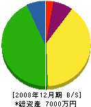 三陽新設 貸借対照表 2008年12月期