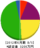 松本産業 貸借対照表 2012年6月期