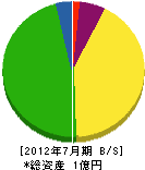 堂薗組 貸借対照表 2012年7月期