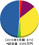 いづの造園 貸借対照表 2010年9月期