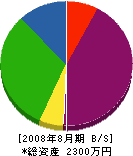 石川装飾 貸借対照表 2008年8月期