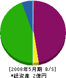 神山建設 貸借対照表 2008年5月期