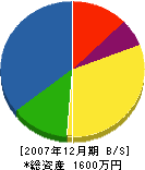 ＊田電業社 貸借対照表 2007年12月期