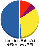 飯島テレビ商会 貸借対照表 2011年12月期