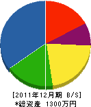 藤沢塗装 貸借対照表 2011年12月期