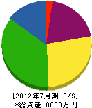 大塚組 貸借対照表 2012年7月期