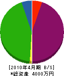 ハヤシ創建 貸借対照表 2010年4月期