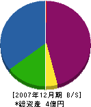 駿東石材 貸借対照表 2007年12月期