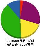 松原園 貸借対照表 2010年8月期