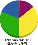 三嶋建設 貸借対照表 2012年5月期