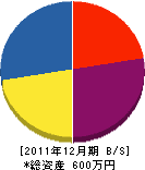 隆松電気 貸借対照表 2011年12月期